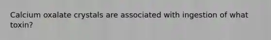 Calcium oxalate crystals are associated with ingestion of what toxin?