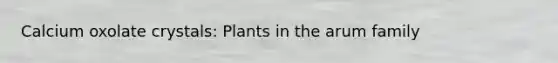 Calcium oxolate crystals: Plants in the arum family
