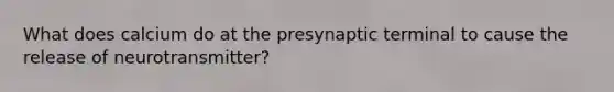 What does calcium do at the presynaptic terminal to cause the release of neurotransmitter?