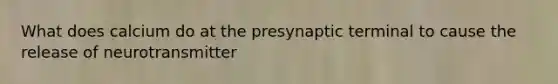 What does calcium do at the presynaptic terminal to cause the release of neurotransmitter