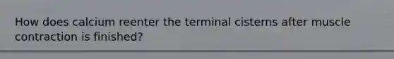 How does calcium reenter the terminal cisterns after <a href='https://www.questionai.com/knowledge/k0LBwLeEer-muscle-contraction' class='anchor-knowledge'>muscle contraction</a> is finished?
