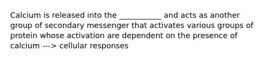 Calcium is released into the ___________ and acts as another group of secondary messenger that activates various groups of protein whose activation are dependent on the presence of calcium ---> cellular responses