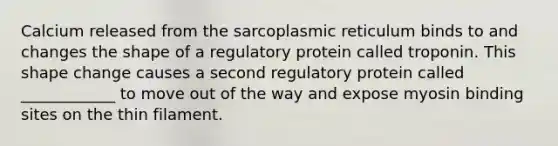 Calcium released from the sarcoplasmic reticulum binds to and changes the shape of a regulatory protein called troponin. This shape change causes a second regulatory protein called ____________ to move out of the way and expose myosin binding sites on the thin filament.