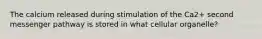The calcium released during stimulation of the Ca2+ second messenger pathway is stored in what cellular organelle?