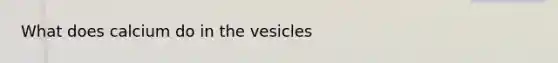 What does calcium do in the vesicles