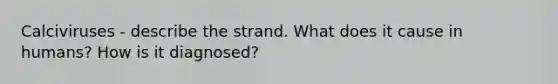 Calciviruses - describe the strand. What does it cause in humans? How is it diagnosed?