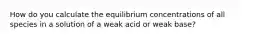 How do you calculate the equilibrium concentrations of all species in a solution of a weak acid or weak base?