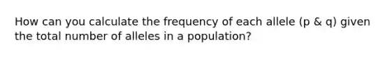 How can you calculate the frequency of each allele (p & q) given the total number of alleles in a population?