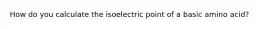 How do you calculate the isoelectric point of a basic amino acid?