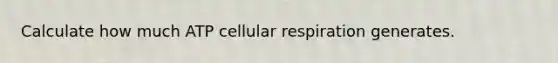 Calculate how much ATP cellular respiration generates.