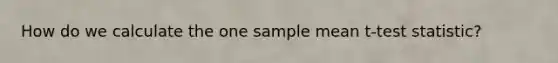 How do we calculate the one sample mean t-test statistic?