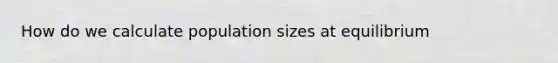 How do we calculate population sizes at equilibrium