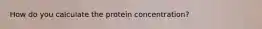 How do you calculate the protein concentration?