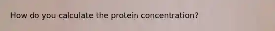 How do you calculate the protein concentration?