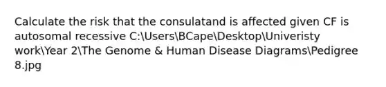 Calculate the risk that the consulatand is affected given CF is autosomal recessive C:UsersBCapeDesktopUniveristy workYear 2The Genome & Human Disease DiagramsPedigree 8.jpg