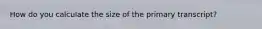 How do you calculate the size of the primary transcript?