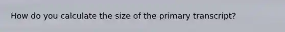 How do you calculate the size of the primary transcript?