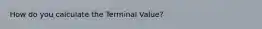 How do you calculate the Terminal Value?