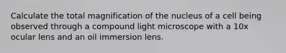 Calculate the total magnification of the nucleus of a cell being observed through a compound light microscope with a 10x ocular lens and an oil immersion lens.