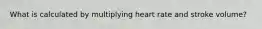 What is calculated by multiplying heart rate and stroke volume?