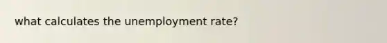 what calculates the unemployment rate?