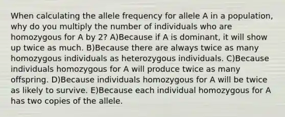 When calculating the allele frequency for allele A in a population, why do you multiply the number of individuals who are homozygous for A by 2? A)Because if A is dominant, it will show up twice as much. B)Because there are always twice as many homozygous individuals as heterozygous individuals. C)Because individuals homozygous for A will produce twice as many offspring. D)Because individuals homozygous for A will be twice as likely to survive. E)Because each individual homozygous for A has two copies of the allele.