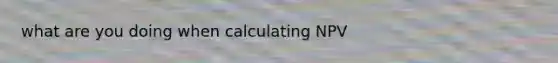 what are you doing when calculating NPV