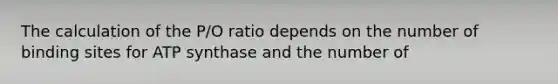 The calculation of the P/O ratio depends on the number of binding sites for ATP synthase and the number of