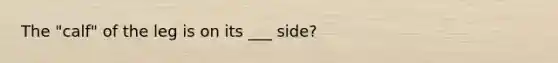 The "calf" of the leg is on its ___ side?