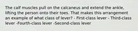 The calf muscles pull on the calcaneus and extend the ankle, lifting the person onto their toes. That makes this arrangement an example of what class of lever? - First-class lever - Third-class lever -Fourth-class lever -Second-class lever