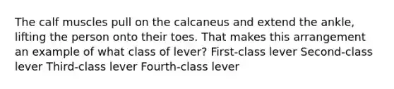 The calf muscles pull on the calcaneus and extend the ankle, lifting the person onto their toes. That makes this arrangement an example of what class of lever? First-class lever Second-class lever Third-class lever Fourth-class lever