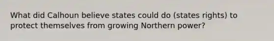 What did Calhoun believe states could do (states rights) to protect themselves from growing Northern power?