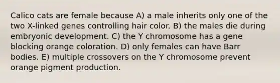 Calico cats are female because A) a male inherits only one of the two X-linked genes controlling hair color. B) the males die during embryonic development. C) the Y chromosome has a gene blocking orange coloration. D) only females can have Barr bodies. E) multiple crossovers on the Y chromosome prevent orange pigment production.