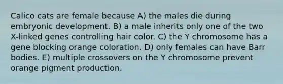 Calico cats are female because A) the males die during embryonic development. B) a male inherits only one of the two X-linked genes controlling hair color. C) the Y chromosome has a gene blocking orange coloration. D) only females can have Barr bodies. E) multiple crossovers on the Y chromosome prevent orange pigment production.