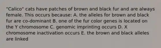 "Calico" cats have patches of brown and black fur and are always female. This occurs because: A. the alleles for brown and black fur are co-dominant B. one of the fur color genes is located on the Y chromosome C. genomic imprinting occurs D. X chromosome inactivation occurs E. the brown and black alleles are linked