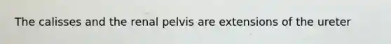 The calisses and the renal pelvis are extensions of the ureter