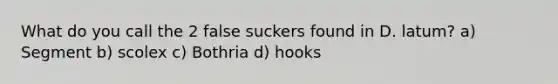 What do you call the 2 false suckers found in D. latum? a) Segment b) scolex c) Bothria d) hooks