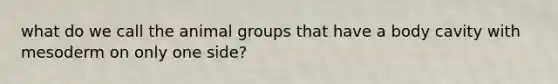 what do we call the animal groups that have a body cavity with mesoderm on only one side?