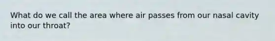 What do we call the area where air passes from our nasal cavity into our throat?