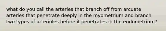 what do you call the arteries that branch off from arcuate arteries that penetrate deeply in the myometrium and branch two types of arterioles before it penetrates in the endometrium?