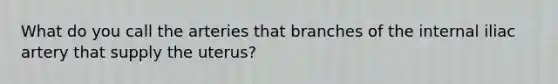 What do you call the arteries that branches of the internal iliac artery that supply the uterus?