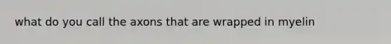 what do you call the axons that are wrapped in myelin