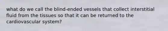 what do we call the blind-ended vessels that collect interstitial fluid from the tissues so that it can be returned to the cardiovascular system?