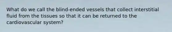 What do we call the blind-ended vessels that collect interstitial fluid from the tissues so that it can be returned to the cardiovascular system?