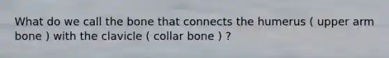 What do we call the bone that connects the humerus ( upper arm bone ) with the clavicle ( collar bone ) ?