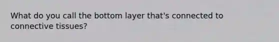 What do you call the bottom layer that's connected to <a href='https://www.questionai.com/knowledge/kYDr0DHyc8-connective-tissue' class='anchor-knowledge'>connective tissue</a>s?