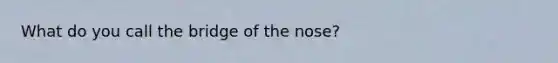 What do you call the bridge of the nose?