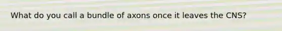 What do you call a bundle of axons once it leaves the CNS?