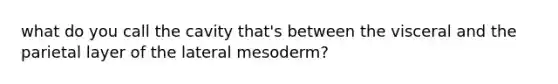 what do you call the cavity that's between the visceral and the parietal layer of the lateral mesoderm?