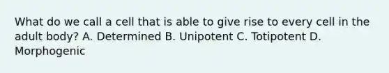 What do we call a cell that is able to give rise to every cell in the adult body? A. Determined B. Unipotent C. Totipotent D. Morphogenic